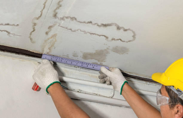 Reliable Flood Cleanup contractor in Lakeville, MA by Water Damage Irwin